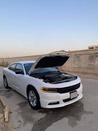 دودج تشارجر • ٢٠٢٣ • رقم بغداد
