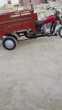 ستوته • بدون أوراق • بصره قبله