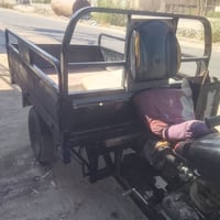 ستوته • موديل ١٥ • بدون اوراق