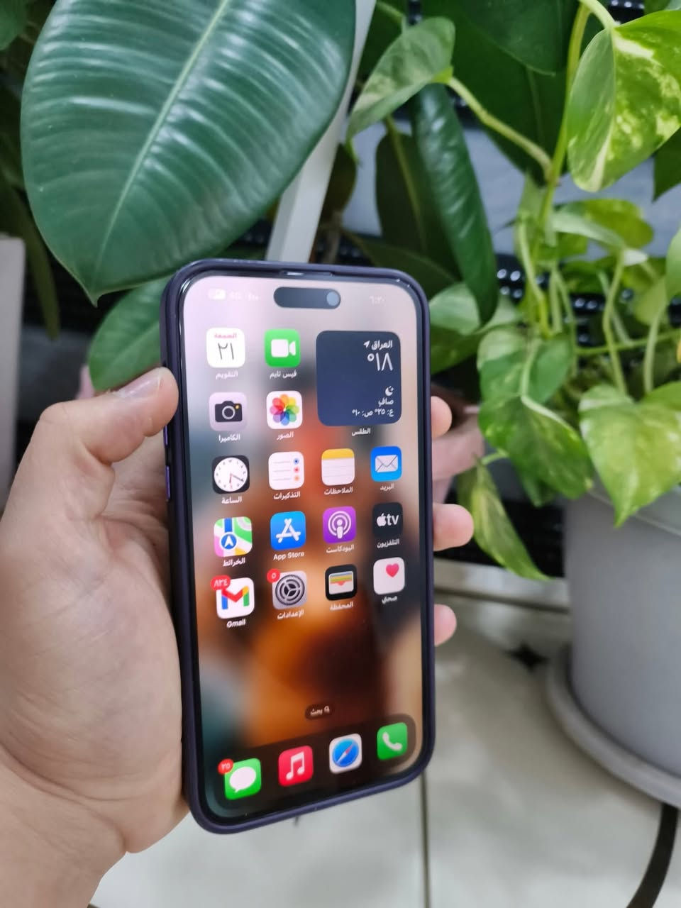 سلام عليكم ايفون 14 برو ماكس
ذاكرة/256
بطاريه /82
كارتون كامل
تك سيم 
جهاز كله بلادي شرط فقط ضهر مبدل جديد للبيع شراي خابر ***********
