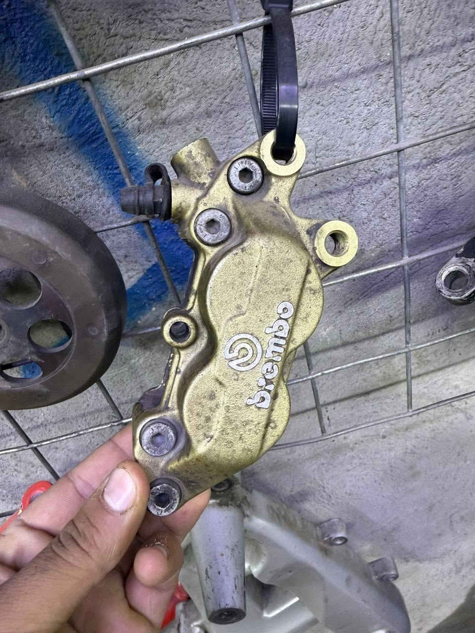 السلام عليكم غراض تزويد مال سكنس للبيع
طاسه مال كلج رياضي
 كلج خلفي رياضي
 دبل امامي وياه فجه
دشلي مال سرعه
فج رياضي
سبعه مال كفر امامي مال فحل
قبق جوزه رياضي
مكاني الاعضميه الاتصال ***********
