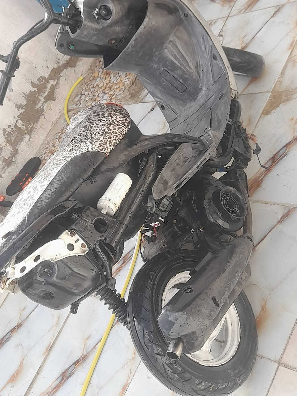 حربيه منغولي مفتوحه ولفات فقط ب ٣٠٠ مكاني اريدو ***********
