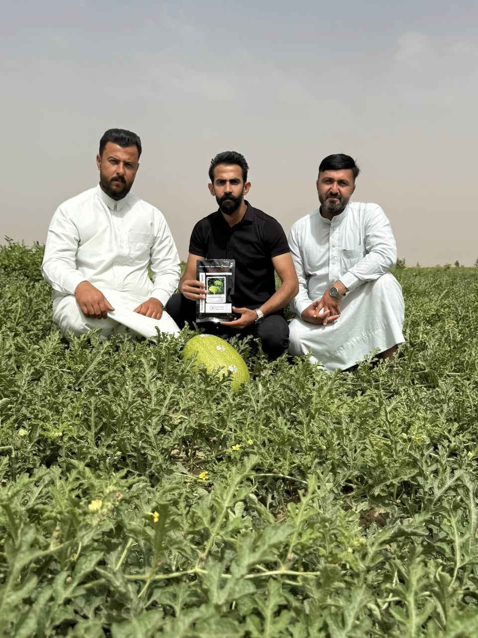 🌱🍉
صنف الرقي أمير F1
التابع لـ شركة أشجار البستان

من اشهر مناطق أنتاج الرقي في #العظيم
يبرز وبقوة أحد نجوم #شركة_اشجار_البستان

من الأصناف الهجينة المميزة التي أثبتت نجاحها وكفاءتها في مختلف الظروف الزراعية، لما يمتلكه من مواصفات مرغوبة وإنتاجية عالية نالت إعجاب المزارعين في عدة مناطق. 💪🌿

🔸 حجم ثمار ممتاز وشكل تسويقي جذاب
🔸 يتراوح وزن الركية الواحدة من 17 – 23 كيلو
🔸 تجانس عالي بالثمار وجودة مميزة
🔸 تحمّل ومقاومة ممتازة للظروف الجوية والإجهاد
🔸 صنف هجين F1 قوي بالإنتاج والثبات الحقلي

صنف الأمير ليس مجرد إنتاج وفير فقط، بل هو عنوان للجودة والثقة والنتائج المضمونة في الحقل والسوق. 🌟🍉

مستمرون بتقديم أفضل الأصناف الزراعية لخدمة مزارعينا الكرام وتحقيق أعلى مردود وإنتاجية بإذن الله. 🌱🤝

#صنف_الرقي_امير F1
#المهندس_محمد_آل_رشاد
#الزراعة_في_العراق
#مشاهدة_حقلية
#شركة_اشجار_البستان
#رقي_العظيم
@ابرز المعجبين


**إذا كنت صاحب هذا الإعلان وتريد حذفه لأي سبب، رجاءا أرسل رسالة إلى الدعم الفني**