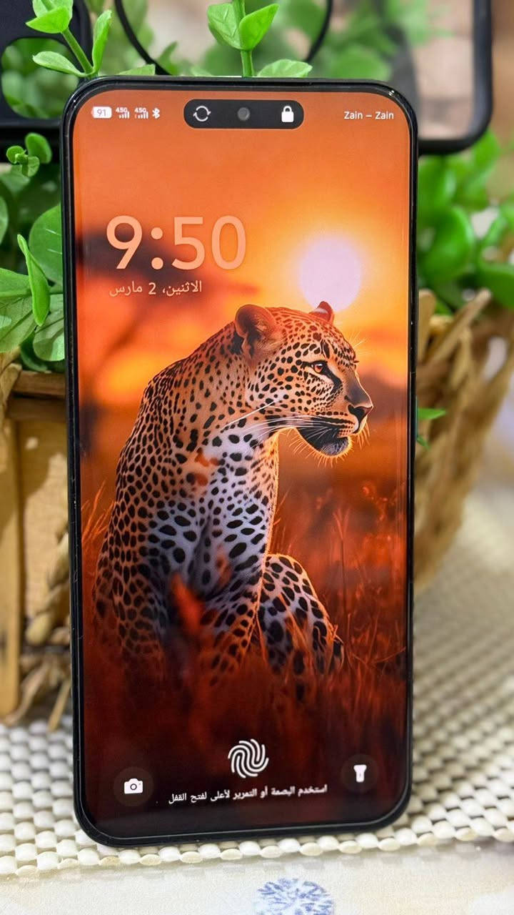 انفنكس هوت 60برو بلاس /بدون ملحقات
ذاكره 256/رام8+8
بطاريه 5160
معالج هيلوجي  200/ببجي60فريم
شاشه منحنيه امولد معدل تحديث 144هرتز
كامره من سووني 
دبل صوت 
دبل خط 
دبل بصمه 
جهاز مكفول من العطل وتصليح نضافه 100%
للبيع سعر 180قفل
شراي يتصل ***********
مكاني كووووت
