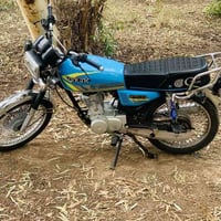 تايكر 25 • أوراق كامله • ديالى كنعان