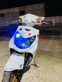سكنس فحل للبيع السعر 975 بيهة مجال استفسار...07760327413 واتساب فقط