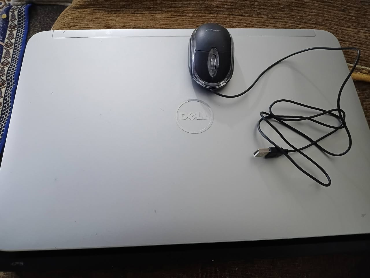 لابتوب كوراي 7 هارد 256. SSD حجم شاشه 17 منزل 4 العاب وجميع البرامج السعر 230 الف او مراوس بكاميرا ومن بغداد


**إذا كنت صاحب هذا الإعلان وتريد حذفه لأي سبب، رجاءا أرسل رسالة إلى الدعم الفني**