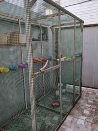 بايسكل شحن وماطورات ماء واقفاص للبيع تواصل 07729646449