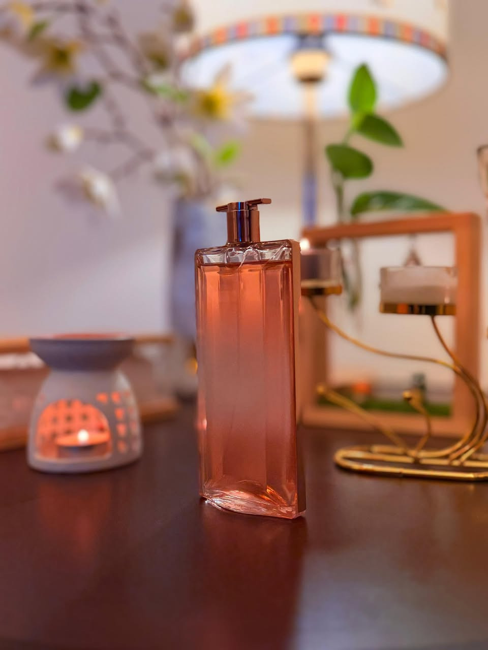 بنوتات عطور اصليه ممستعمله اخر قطع قسم بيها باكيت وقسم لا الي تحب توصي عندي توصيل 

بنات هذا شهر الفضيل كونوا سبب برزقي تعليق لايك مياخذ منكم وقت حتى المنشور يصعد وينباعن وربي يرزقكم ويرزقني بجاه هاي الايام المباركه


**إذا كنت صاحب هذا الإعلان وتريد حذفه لأي سبب، رجاءا أرسل رسالة إلى الدعم الفني**