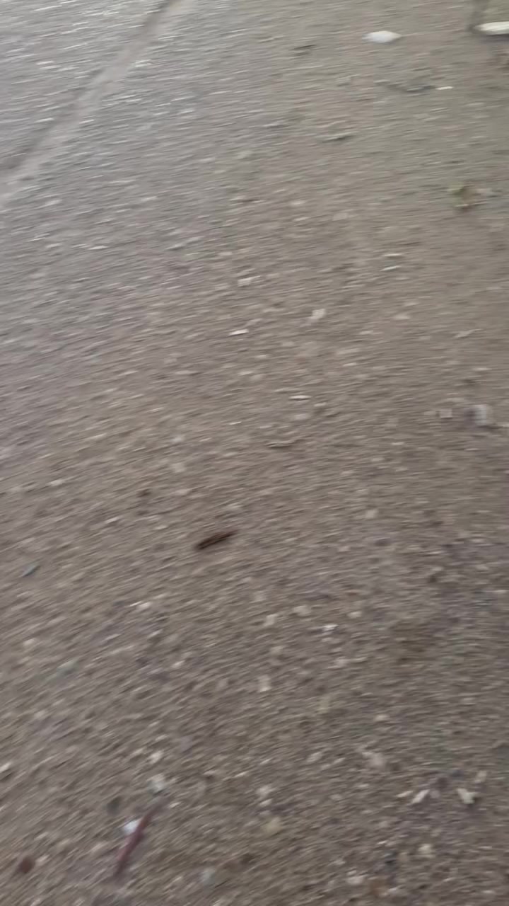 مجموعةً أغراض نضيفة جداوشغالة في الزعفرانية اربع شوارع كل شي وسعرة***********
