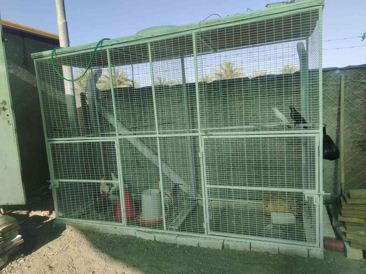 حداد متنقل الرزق ع الله ***********
