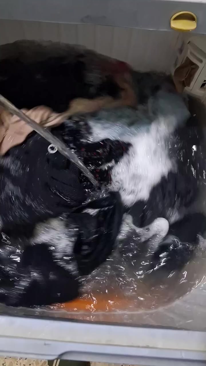 غساله للبيع علفحص تغسل بطانيه نفرين حجم 15 كيلوالسعر ب75 المكان الشعله


**إذا كنت صاحب هذا الإعلان وتريد حذفه لأي سبب، رجاءا أرسل رسالة إلى الدعم الفني**