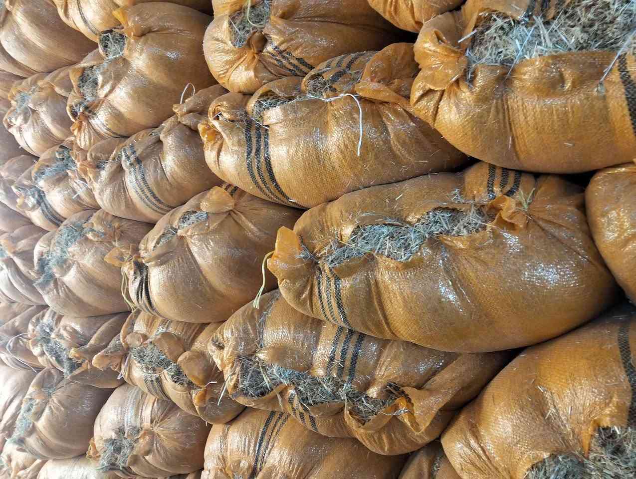 کامان هەیە بۆ فرۆشتن 
حەفتایی سەر قەباخ و
هەشتایی دەم دوور 
کایی دەڕاسەیە
شوین دەوورو بەریی کەرکووک
ژ.م:***********
*********** كركوك, العراق
