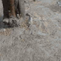 شارع نينوى • ملك صرف • ٣٠٠م