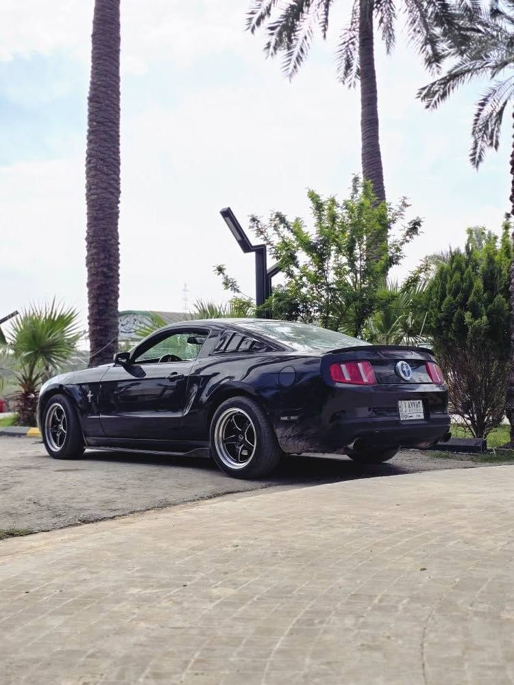 للبيع موستنك 2012 premium  v6
السياره بريميوم
دشبول لد الون
ارضيات لد الوان
بوب ودوسات لد الوان
مكينه كير فول نضافه
صدر امامي خلفي نضيف
وياله ويلد 
السياره مصبوغه حزام اثر شخوط 
لغود وشواصي اكفلهن الك
السياره نشطهة يشك الكاع
عاوزهة ترتيبات بصيطه
سعرهة 85 وبيهة مجال
مكاني بغداد الغزاليه
*********** بغداد, العراق

