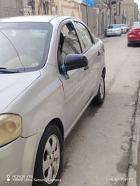 افيو • ٢٠١٣ • مكفوله