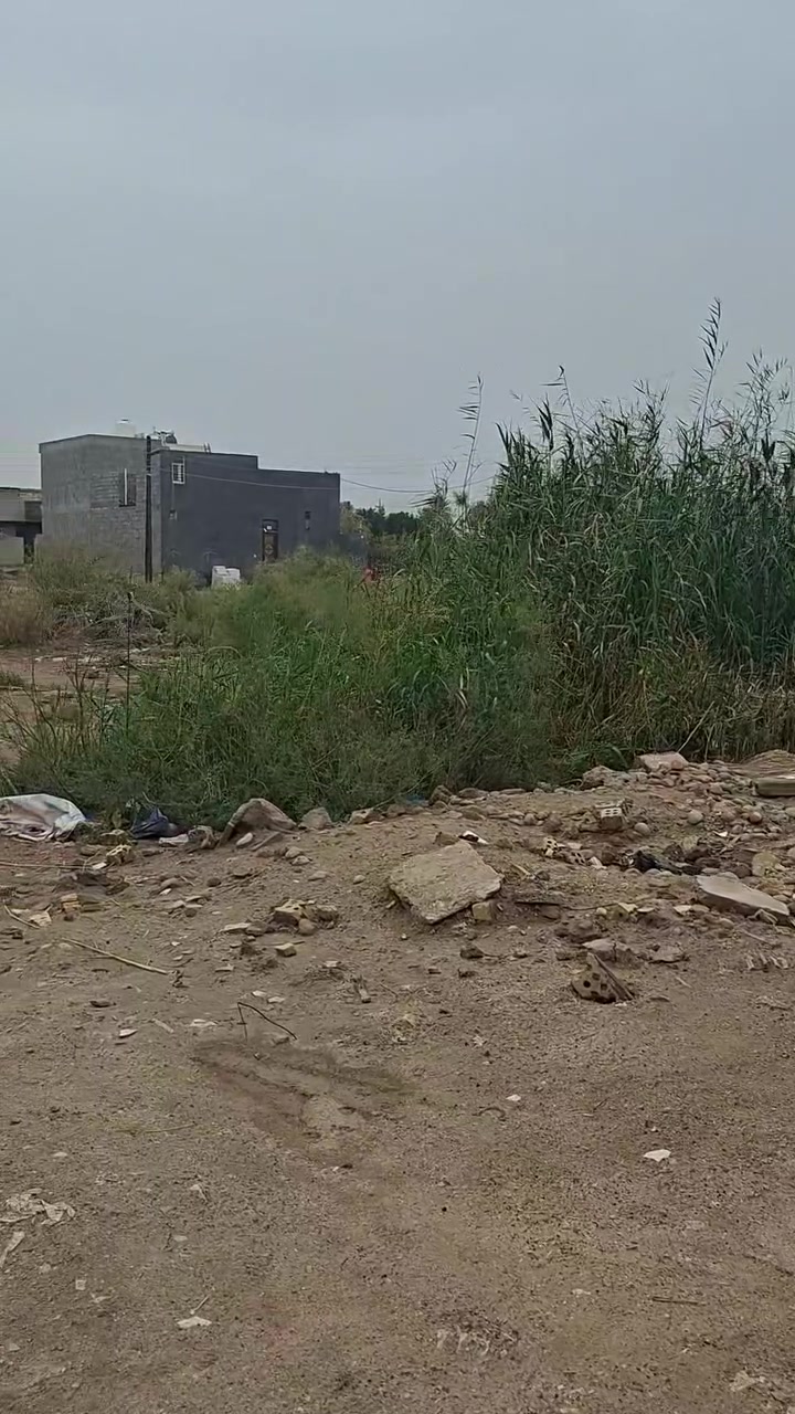 الله بالخير قطعه ٩٠ متر مرتبه قريبه الشارع العام شارع المدرسه الهجرتين مدفونه بيها معاله حته الرسم مدفوم بس ع البصمه باقي ثاني قطعه عن الشارع المدرسه وجها ٥ اله ٢٠ سانتيم ونزال ١٩ خدمات مي كهرباء مجاري تبليط قريبا وهي ثاني قطعه عن تبليط شارع ٢٠ السعر تفضل خاص وتدلل ***********
