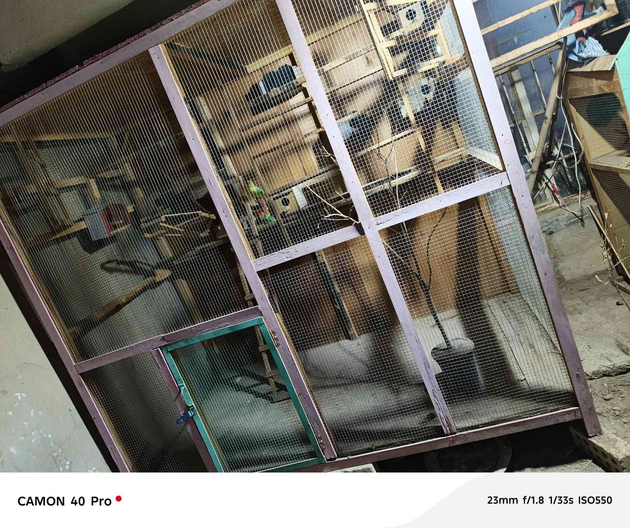 قفص تكمه شغل حطاطه جديد واجهته مترين في تلاثه متر تفاصيل أكثر مراسله الرقم *********** مال مستعجل العنوان الفلوجه حي العسكري
