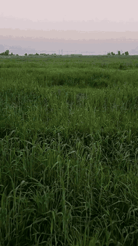 السلام عليكم
يوجد لدينا سفحة للضمان ٢٥ دونم ناحية شيخ سعد 
قرية الشوهانية للاستفسار ***********
