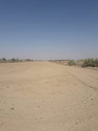 فرع الامام شاخه٤ • ١٠ دونم • طابو زراعي