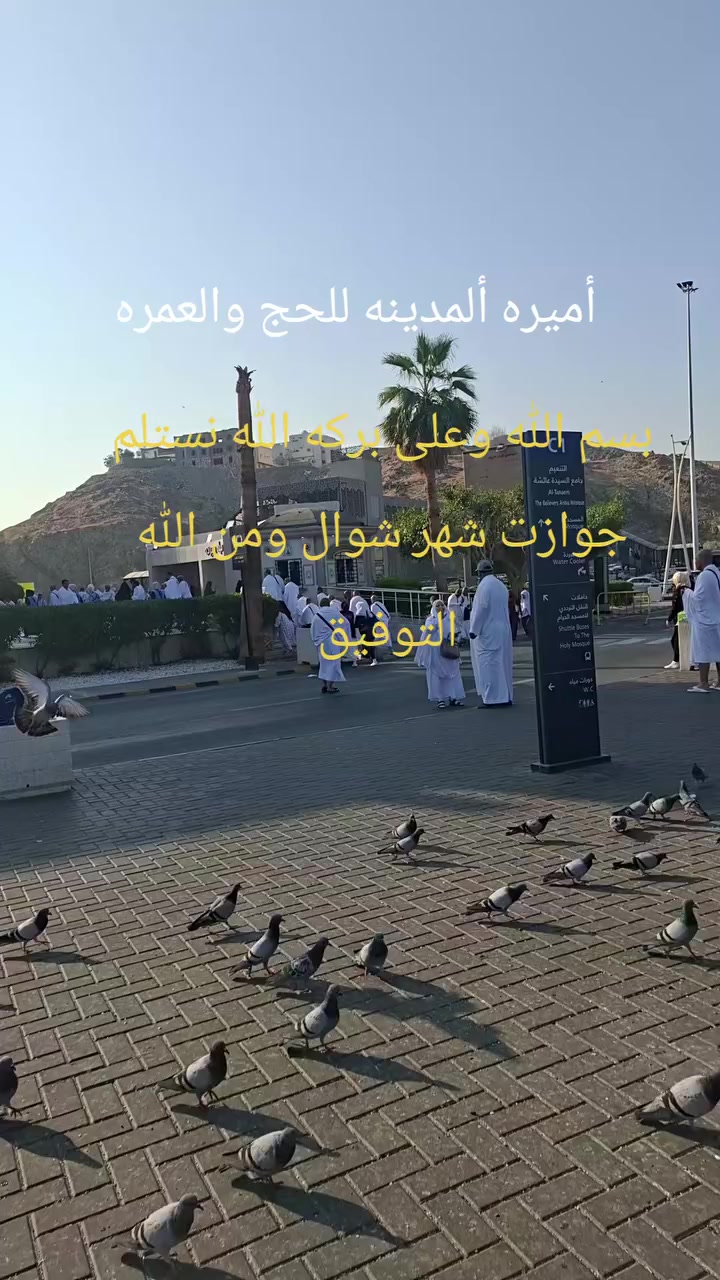 بسم الله وعلى بركه الله نستلم جوازات شهر شوال ومن الله التوفيق للمحافظات الثلاث اربيل كركوك والانبار للاستفسار ***********
