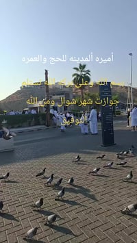 بسم الله وعلى بركه الله نستلم جوازات شهر شوال ومن الله التوفيق للمحافظ...