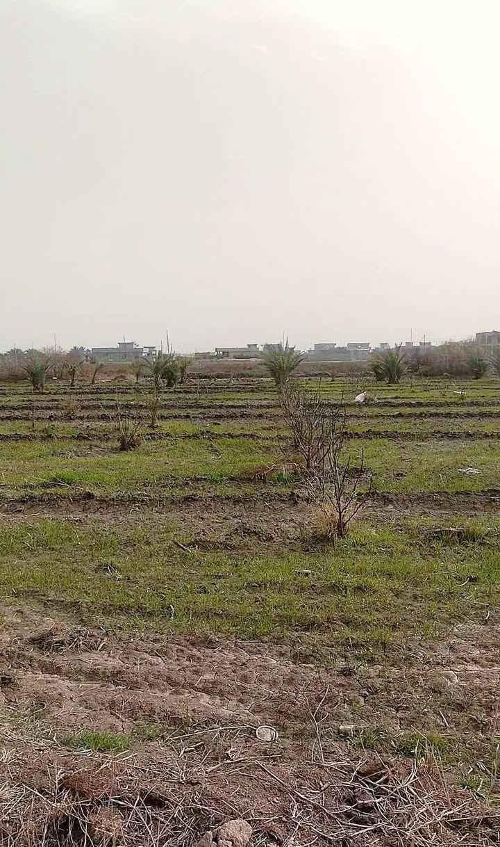 🔥 دونم للبيع 🔥
📍 الفلوجة – النساف
📐 المساحة: دونم واحد
📄 الطابو: سند 25
🛣️ يبعد 200 متر عن الشارع العام
🚧 على شارع تبليط جديد عرض 12 متر
📏 الواجهة: 60 متر
📐 النزال: 42 متر
💧⚡ خدمات كاملة: ماء وكهرباء
🏡 مناسب للسكن والاستثمار
📞 للاتصال: ***********

💬 واتساب مباشر:
👉 https://wa.me/9647808911638
