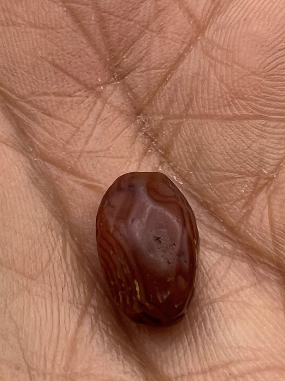 احجار عقيق يماني قديم السعر ١٢٥ الف العنوان الكوت للاستفسار الاتصال على ***********
@
