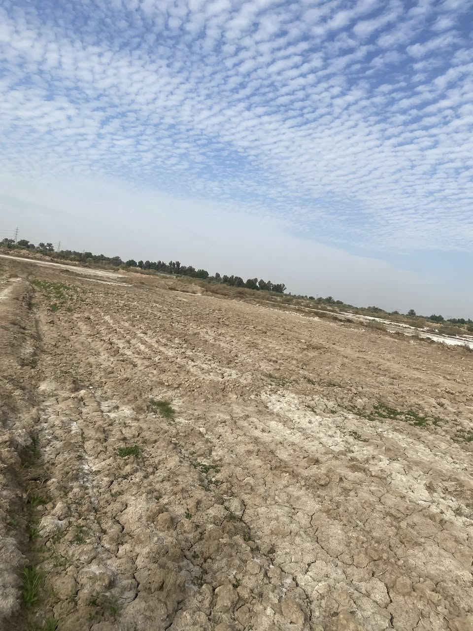 سلام عليكم كاع البيع ١٥ دونم عله ابو مهيفه مقابيل ملعب شيخ طارق مناع متوفر كافت الخدمات كهرباء مكلف بل نشر سعر دونم ٥وبيه مجال ***********
