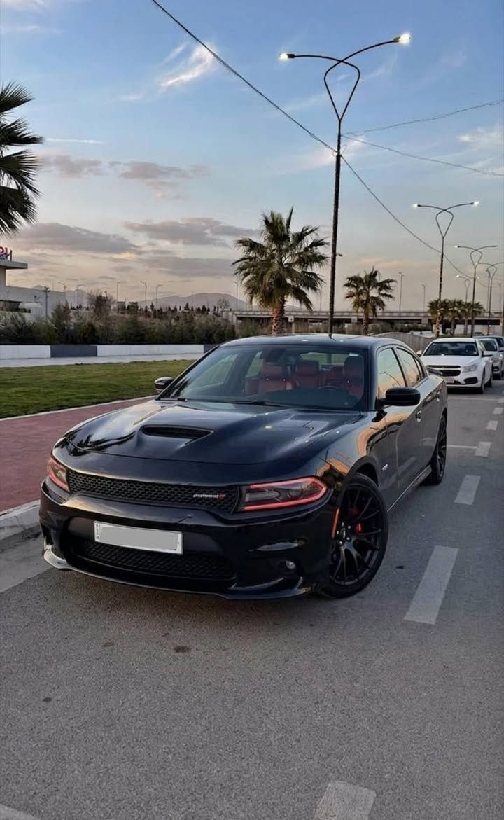 سلام‌علیکم ورحمةالله
✍️کوردی و عربی✍️

ئۆتۆمبێل دۆج چارجەر
Dodge Charger RT

- مۆدێل 2017

- 174 هەزار کم ڕۆیشتووە

- مەکینە (5.7 v8 )
گێڕومەکینە نەکراوەتەوە هیچ کێشەی نیە

- مواسەفات RT احتیادی
- ناو سور
-شاشەگەورە
- کوشین کنتارا
- کوشین هیتەر + کارەبایی
- شەفتی سوکان
-تبرید مرکزی
- تحدید سرعە
- ويل روهاناي اصلي
 وەزۆر مواسەفاتی دیکە

- ژمارە  سلێمانیە سەنەوی تازەیە بەناوی خۆمەوەیە وەکالە و بەناوکردن بەشەرت✅💯

- سەیارەکە 3پارچەی بۆیاغە لەسەرشوخت
دەعمی قورسی نیە وێنەی امریکای هەیە لەگەڵ سۆنەری ئێستا
بێ ژوورەوە✔
بێ ئێرباگ✔
ئێرباگەکانی هەمووی بیلادیە

سەیارەیەکی زۆرجوان و بێ کێشەیە بێ مەسرەفە  ژمارە سلێمانیە بەناوی خۆمەوەیە سەنەوی تاوەکو 2030 تازەیە

گێڕومەکینە و وەکالە و بەناوکردن و هەمووشتێکی بەشەرت 

- نرخی 188 وەرەقەو معامەلەشی تێدایە

📍شوێن کرکوک دوزخورماتو

ژمارەی خاوەنی
۰۷۷۲۹٦۲٥۱٤٨
اسیاسێڵ + و واتساپ
----------------------------
✍️عربی✍️

سيارە دوج جارجر RT للبیع

- موديل ۲۰۱۷

 - رقم  سليمانيه تحويل وكاله بشرط

- محرک ٨ سلندر ( ٥.۷ )
 گیر محرک علی وضع بلادي مامفتوح 

- عداد مصافه / ۱۷٤ الف كم

 مواصفات RT احتيادي
- داخلي احمر
- تبريد مركزي
- كشن كنتارا
- شفت بالستيرن paddle shift
- کشن هیتر و کهربائی
- شاشەکبیر
- تحدید سرعە
- ويلة روهاناي اصلي
 وبیها مواصفات مزيد

- سياره ثلاث قطع صبغ اثر شخط
- بدون داخلي✔
- بدون ایرباک✔
- ایرباکات کل سلیم بلادی
صورحادث و سونار موجود

- سیارە نضيفه‌جدا رقم سليمانيه سنويه باسمي جديد الی ۲۰۳۰

- حدادیە و گیرمحرک و تحويل كلشي بشرط

- سعر ۱٨٨ ورقه وبيها مجال

📍- مكان کرکوک - طوز خورماتو

 للاستفسار اتصل برقم‌صاحب سياره
۰۷۷۲۹٦۲٥۱٤۸
هاتف-فایبر-واتساب

مع تقدیر
