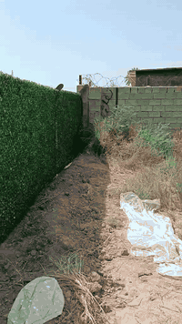 🟣تعلن شركة بابل لاسيجة البيارسي ⁦🟣
🔻عن عمل ونصب جميع انواع اسيجة الBRC ⁦⛏️⁩
🔻وعن عمل جميع انواع الاسيجة العشبية الجميلة 🍀🍀
🔻سعر المتر من 6الف 💸الى 10الف 💸حسب الطلب وحسب نوع السيم ⁦⚒️⁩
🔻يوجد كادر مختص بالعمل 💪
🔻نعمل في كافة محافظات العراق 🚛⁦🚛
🔻للطلب او الاستفسار قم بمراسلة الصفحه او اتصل على الارقام ⁦⬇️⁩
***********
كروب عمل بيارسي سعار مناسبه
