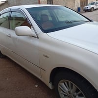 شاهينه • ارقام سليمانية • تبريد ثلج