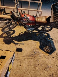 دراجة • موديل 21 • بدون أوراق