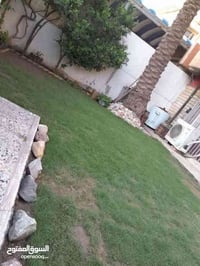 #دار للبيع 220 م في المنصور حي الزهور واجهة 10 م نزال 22 م الدار مسلح ...