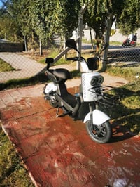 دراجة شحن • جديدة • بغداد الشعب