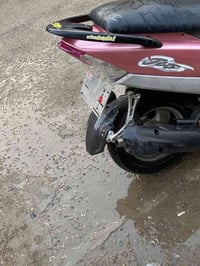 ماكس منغولي • بوشة 55 • سلف محترگ