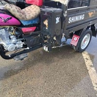 ستوته • موديل ٢٦ • فحل عالي
