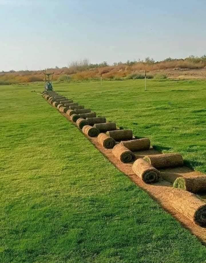 مرحبا زبائنا الكرام نوفر لقد عدنا لكم بل موسم الجديد للزراعه الحدائق بكادر مختص 
  افضل انواع الثيل
الطبيعي وبجوده عاليه
بكافة انوعه🌲
الفرنسي🇫🇷
والايطاليا🇮🇹
والهندي🇮🇳
وبأسعار تنافسيه$
وتوصيل مجاني لجميع محافضات العراق 🚗
للتواصل الاتصال على الرقم ***********
