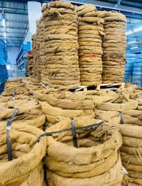 الحله • وصول جديد • جملة