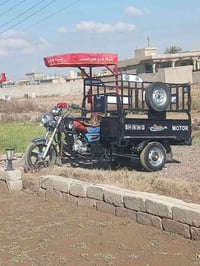 ستوته ٢٠٢٠ • بدون اوراق • صلاح الدين بيجي