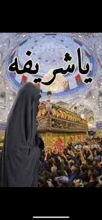 حملة وسام حميد • كربلاء المقدسة • كوستر مكيفة