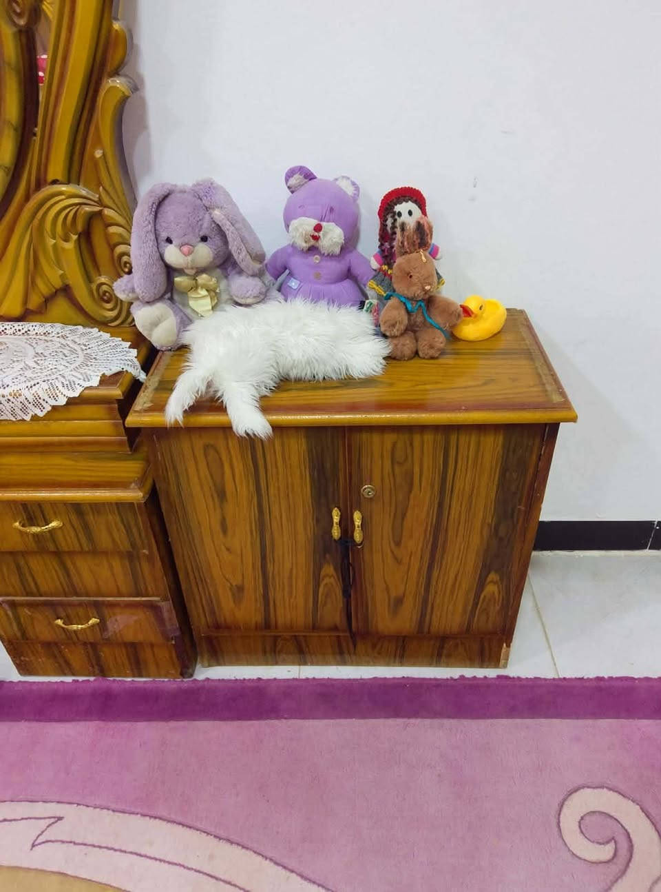 للبيع 💥 شهربان # السعر خاص 😁


**إذا كنت صاحب هذا الإعلان وتريد حذفه لأي سبب، رجاءا أرسل رسالة إلى الدعم الفني**