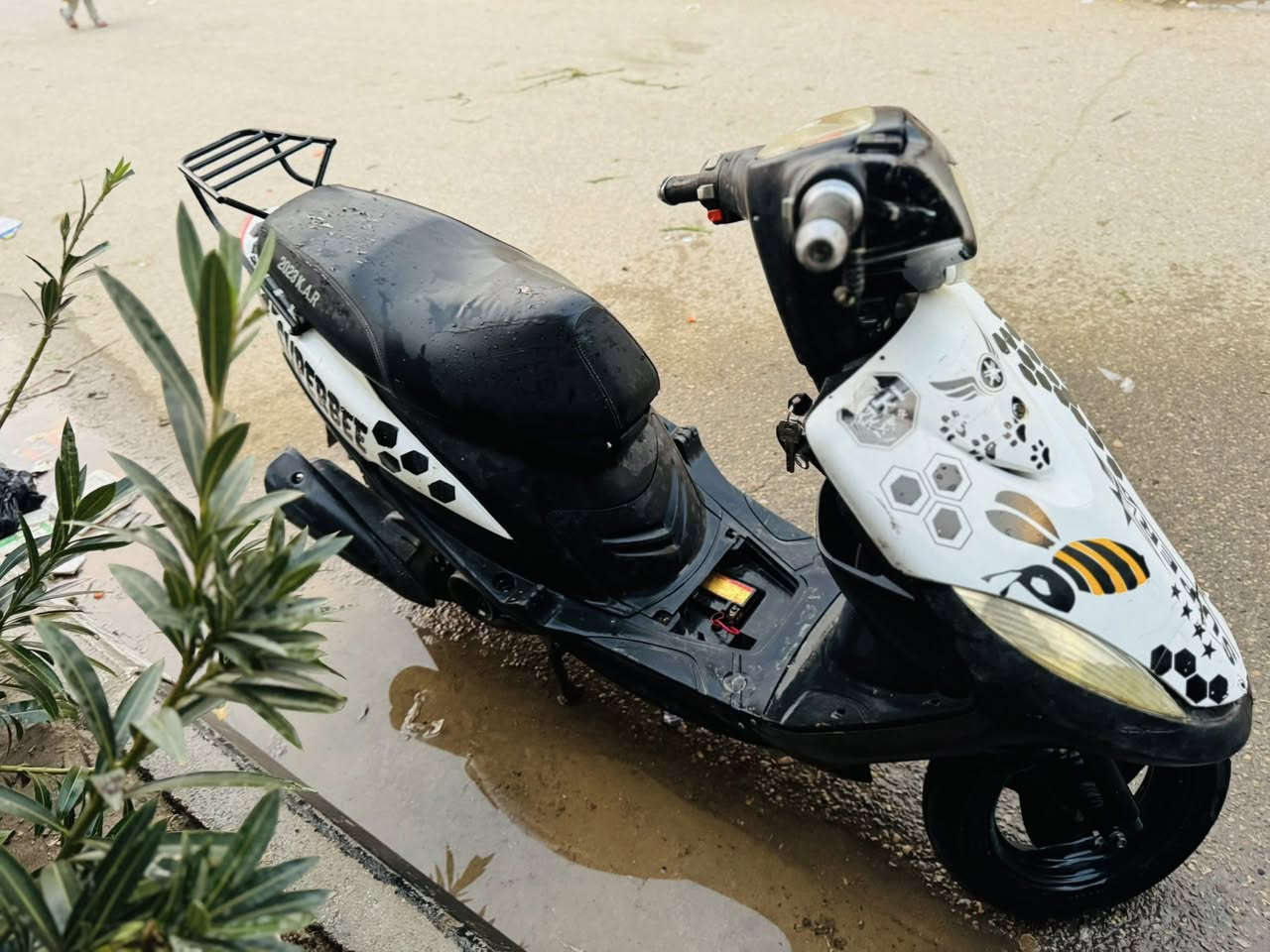 ماكس للبيع ٣٠٠وبيها مجال
مستعجل عل بيعتها وهاملها لسبب الدراسه 
***********
