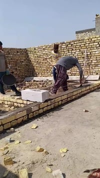 الحلة • أبو غرق • يومية