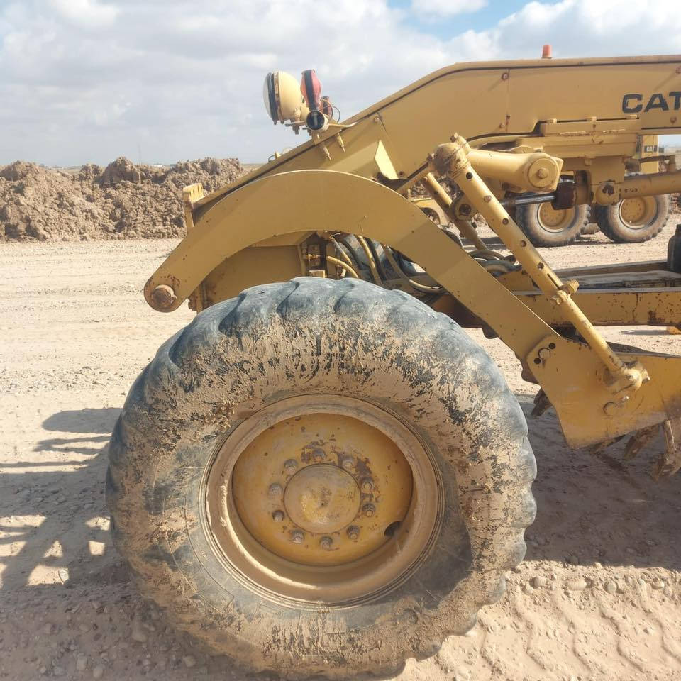 مراوس بويلات 25 جفت  ***********
