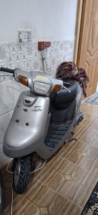 بطة • نفطي • ٩٩