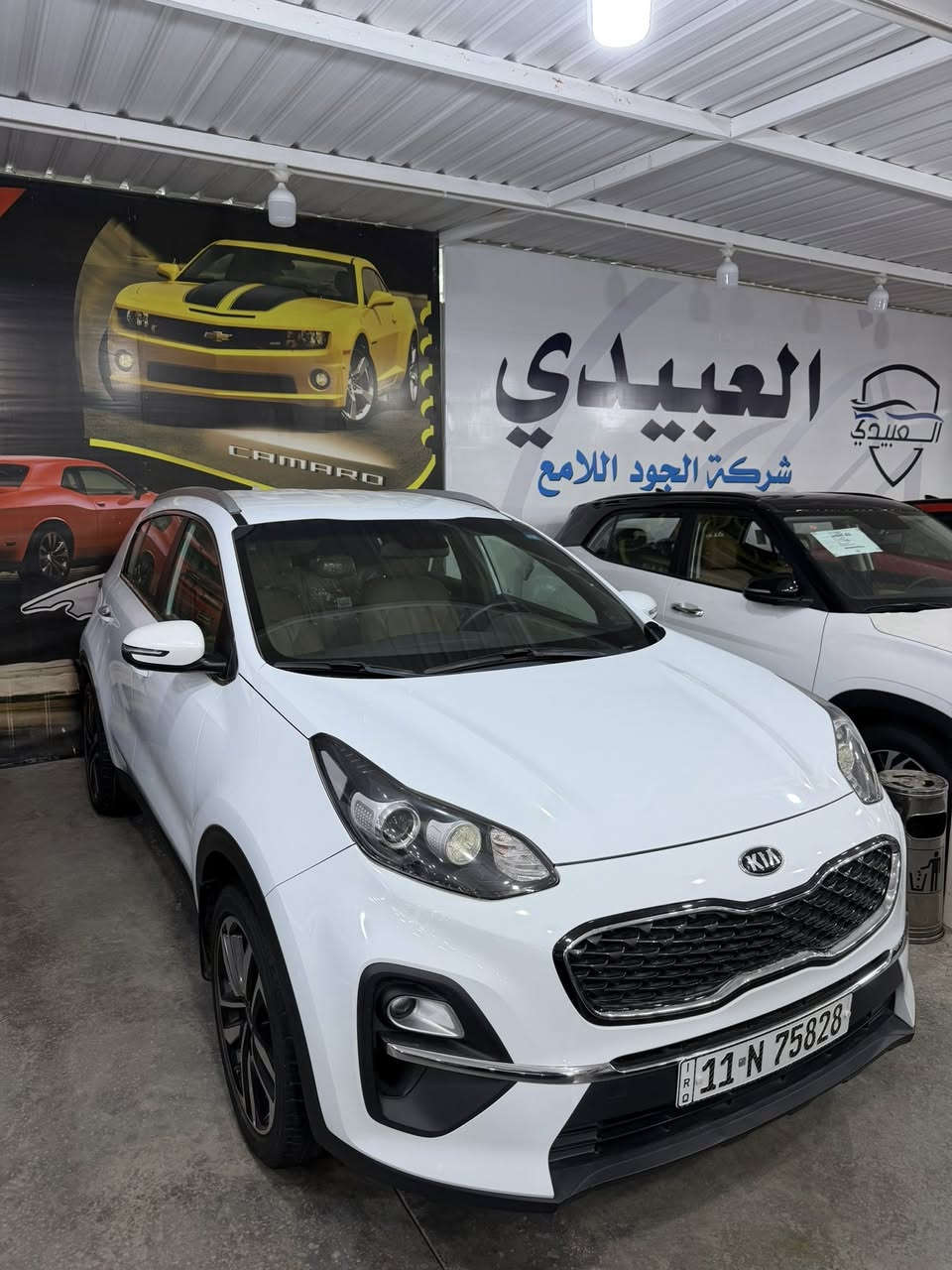 السلام عليكم
كيا سبورتج موديل 2021 ضمان الشركة الدولية خليجي رقم بغداد بأسمي تحويل مباشر سيارة مكفوله من الصبغ و البارد جديدة كلش استخدام شخصي 
مكان السيارة بغداد 
محرك: 2000 دوش 
ماشيه 72 الف كيلو فقط 
مواصفات 
1_شاشه 
2_كامره خلفية 
3_شاشه اعطال 
4_قطعتين تبريد 
5_اشاير بل مري 
6_حساس امامي خلفي وجانبي 
 7_مري شفط 
8_اشاير مري 
9_تحكم وضعيات قيادة 
10_ويل كب بلاد
11_كشافات اماميه 
12_داخل لونين 
13-تحكم استيراً جهتياً 
14- ويل كروم حجم 18 
15- نفكيشن
16- يدات نيكل 
السعر : 203 وبيها مجال بسيط 
للاستفسار: ***********
