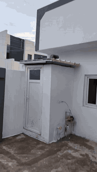 قادسية ثانية • قرب جامع مؤمن • ماي وكهرباء