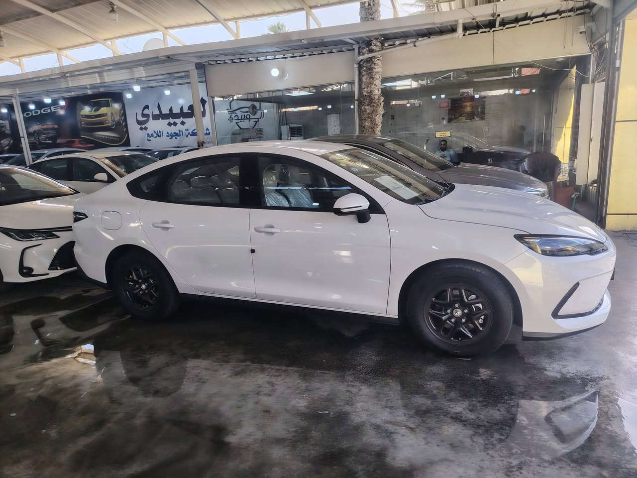 السلام عليكم
دستروير ٢٠٢٥ لون سلفر مميز جدا 
عداد المسافة //
HEV 8000
EV10000
كفالة من صبغ وبارد وتبديل بيها شخطين باب الصدر متبين بالصورة سيارة نصبتها تخبل وترايها زيرو مغلفة ارضية وصندوق تغليف درجة اولى وكل ملحقاتها كاملة 
السعر ١٩٥٠٠
سيل ٥ لون ابيض 
عداد المسافة //
HEV 3000
EV 5000
كفالة صبغ وتبديل بيها مكان صغير بالجاملغ bdr ورصعتين بالابواب جهة الصدر سيارة تخبل وداخلها والكشنات مغلفة تغليف احترافي ب ٣٠٠ الف وياها كاعيات تفصال 
السعر ١٩٥٠٠
الي تعجبة يتفضل لمعرض العبيدي الكريعات شارع المعارض وبي خير ويتدلل والي متعجبة يذكر الله بالتعليقات و يتابعني انزل مستخدم كل يوم ان شاء الله
رقم الهاتف ***********
