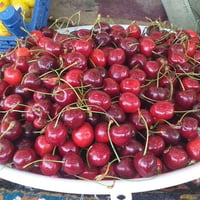 خضار وفواكه • نقدا • علوة هرته